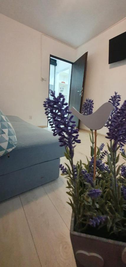 Apartament 3 Camere Spatios Timişoara Exterior foto