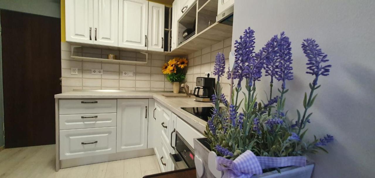 Apartament 3 Camere Spatios Timişoara Exterior foto
